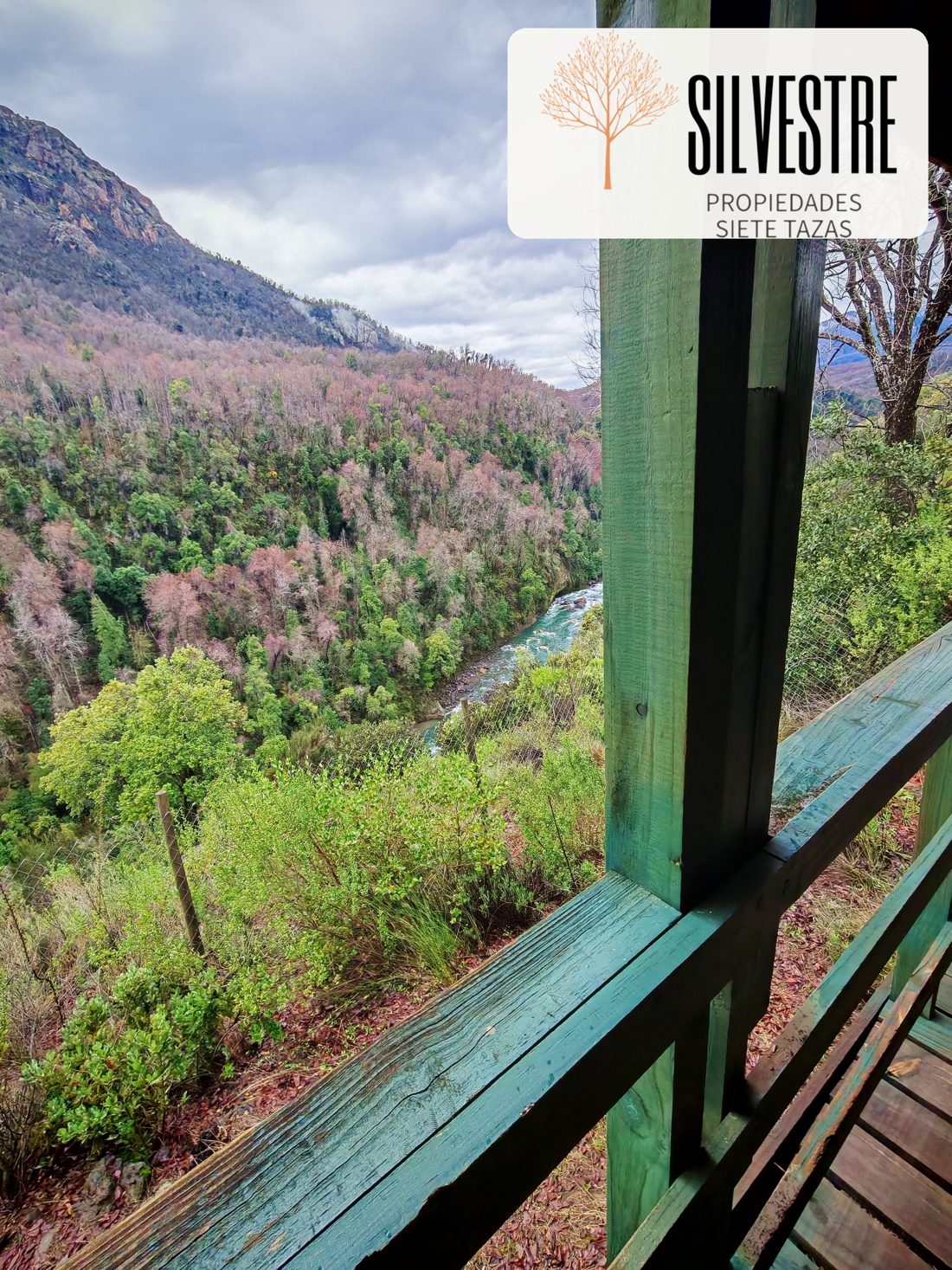 Vista al río desde la terraza de una cabaña